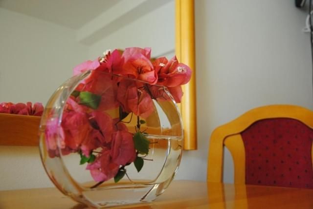 Апартаменты Apartments Villa Kukoljac Херцег-Нови